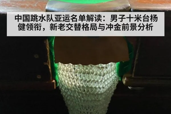 中国跳水队亚运名单解读:男子十米台杨健领衔,新老交替格局与冲金前景分析